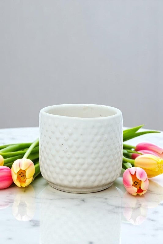 Glossy White Dotted Ceramic Small Planter