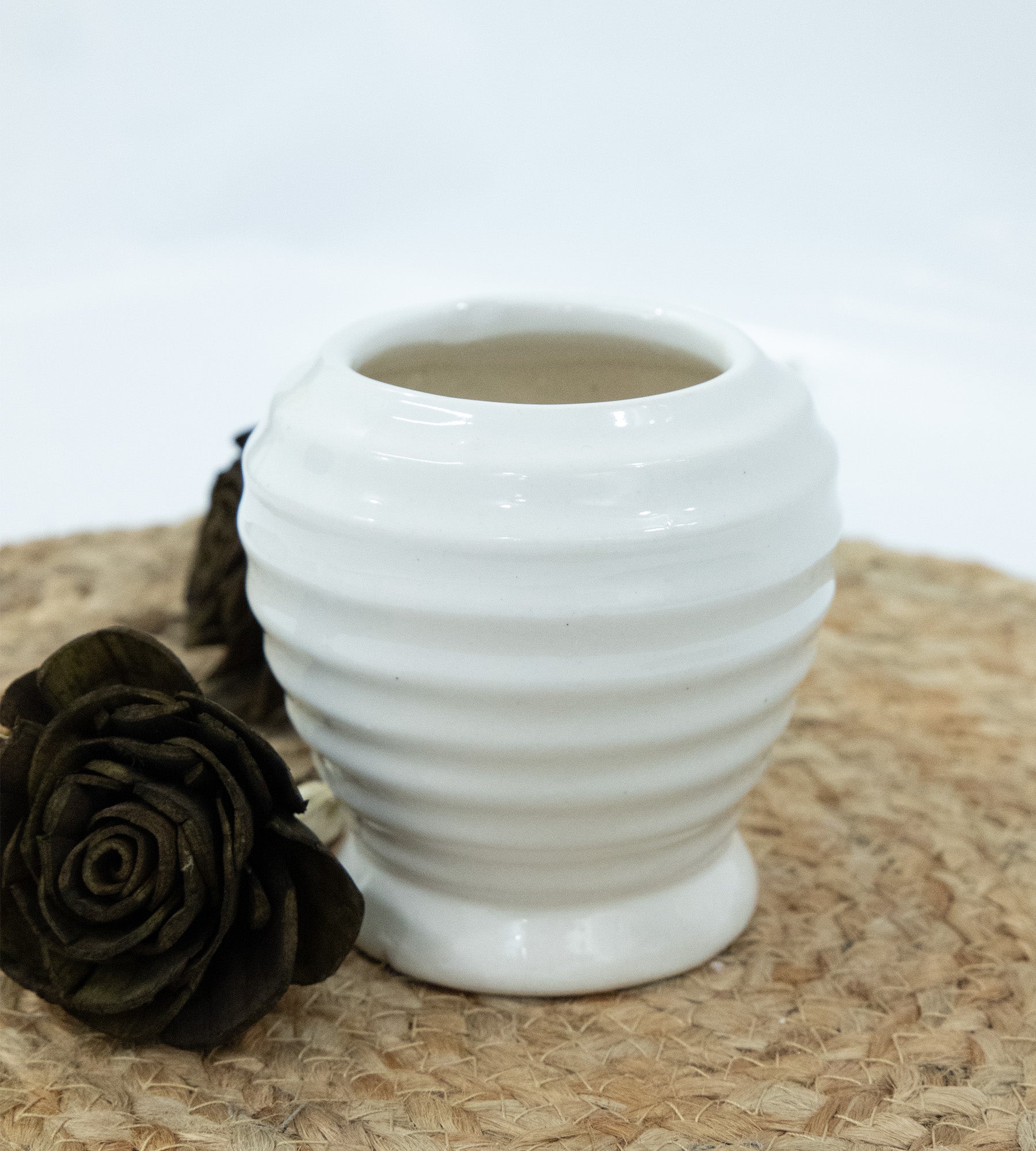 White Ceramic Small terracotta plant pot