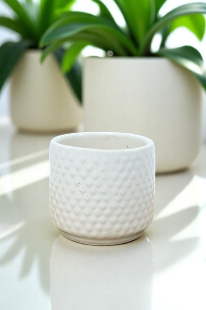 Glossy White Dotted Ceramic Small Planter
